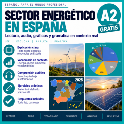 Sector energético en España | Spanish A2 Lesson on the Pretérito Indefinido